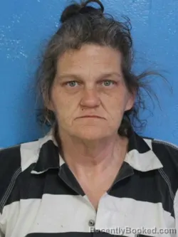 Mugshot of LORI ANN GRAGG booked in Sullivan County, Tennessee on July 4, 2026