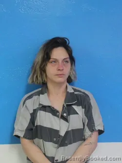 Mugshot of DESTYNIE LASHAY NICHOLE YOUNG