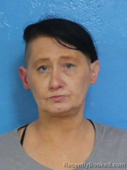 Mugshot of NICOLE RENEE SNOWDEN booked in Sullivan County, Tennessee on March 27, 2026