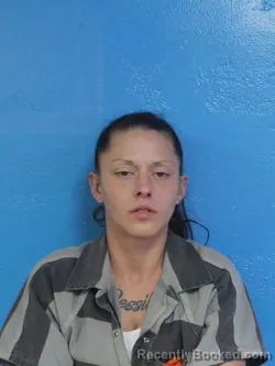 Mugshot of KIMBERLY ELAINE ROGERS