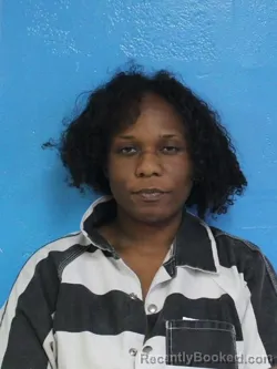 Mugshot of TIERRA BRITTANY LONG