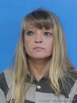 Mugshot of MICHELLE LYNN MCELYEA booked in Sullivan County, Tennessee on April 24, 2026