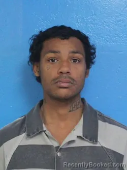 Booking photo from Sullivan County, Tennessee