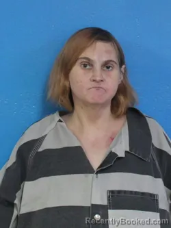 Mugshot of BETHANY NICOLE COOPER booked in Sullivan County, Tennessee on April 6, 2026