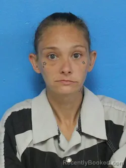 Mugshot of MARY ELIZABETH MCCLAIN booked in Sullivan County, Tennessee on June 24, 2026