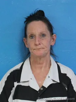 Mugshot of SHANNON NICHOLE PHILLIPS