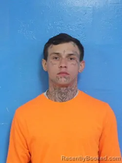 Mugshot of BRANDON ZACHARY HUTCHINS