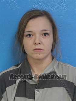 Booking photo from Sullivan County, Tennessee