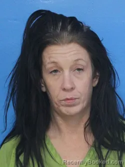 Mugshot of CINDY CARROLL BURCHETT