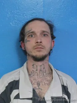 Mugshot of JAMES BLAIR CARTER