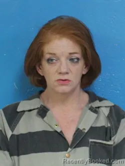 Mugshot of HEATHER REN'A PEAVLER booked in Sullivan County, Tennessee on March 26, 2026