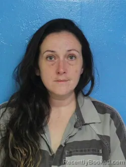 Mugshot of DANIELLE ALYSSA SHERIDAN