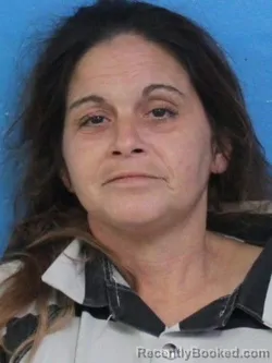 Mugshot of Tiffany Lee Hall booked in Sullivan County, Tennessee on August 14, 2026
