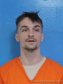 Mugshot of TROY JOSEPH ELLISON booked in Sullivan County, Tennessee on March 31, 2026