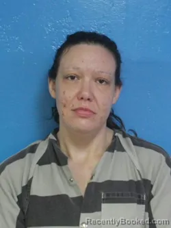 Mugshot of BETHANY GRACE CASEY booked in Sullivan County, Tennessee on April 27, 2026