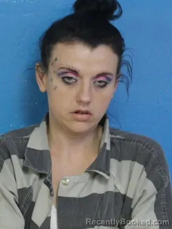 Mugshot of STEPHANIE LE-ANN FRAZIER booked in Sullivan County, Tennessee on June 22, 2026