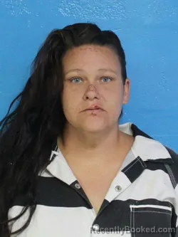 Mugshot of VICTORIA RAHNEE MCMILLAN booked in Sullivan County, Tennessee on May 11, 2026