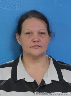 Mugshot of APRIL DAWN NICHOLSON booked in Sullivan County, Tennessee on July 11, 2026