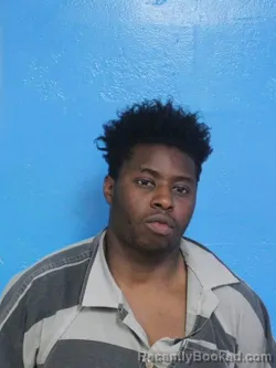 Mugshot of JAMES EARL FRY