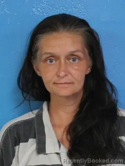 Mugshot of MINDY LYNN WRIGHT booked in Sullivan County, Tennessee on July 8, 2026