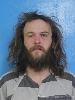 Mugshot of BRODY THOMAS ALLEY