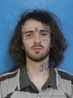 Mugshot of TRISTAN CHASE MCJUNKIN booked in Sullivan County, Tennessee on July 9, 2026