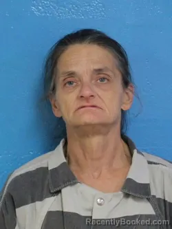 Mugshot of DARLENE MARIE GAMBREL booked in Sullivan County, Tennessee on July 2, 2026