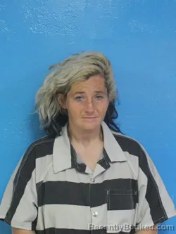 Mugshot of TESA RENEE OTEY booked in Sullivan County, Tennessee on April 29, 2026