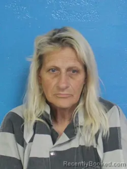 Mugshot of JANICE MARIE BROWN booked in Sullivan County, Tennessee on April 25, 2026