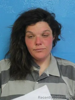 Mugshot of CRYSTAL NICOLE HOLBROOK