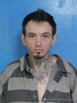 Mugshot of JAMIE LEE REYNOLDS