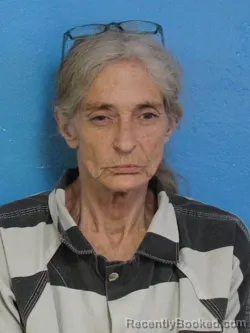 Mugshot of SHARON LYNN HUMPHREYS booked in Sullivan County, Tennessee on May 25, 2026