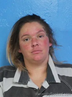 Mugshot of DELINA JO WHITED