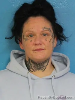Mugshot of BRITTANY SHENTELLE OAKS booked in Sullivan County, Tennessee on May 25, 2026