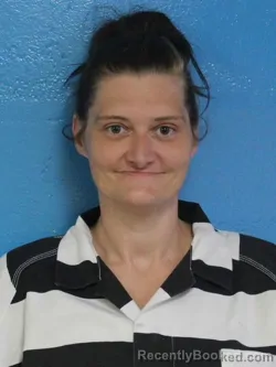 Mugshot of MEGAN LEEANN CHRISTIAN booked in Sullivan County, Tennessee on June 30, 2026