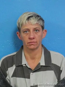 Mugshot of KERRI LYNN BROWN booked in Sullivan County, Tennessee on May 1, 2026