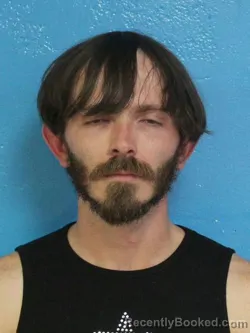 Mugshot of BRODERIK ALEXANDER CLINE booked in Sullivan County, Tennessee on June 28, 2026