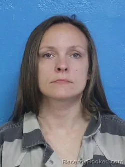 Booking photo from Sullivan County, Tennessee