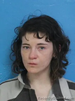 Mugshot of COURTNEY HEAVEN WHITE