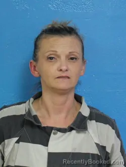Mugshot of MEGAN LADONNA ADAMS