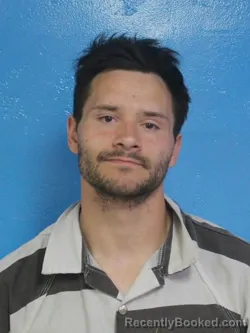 Mugshot of ZACHARY SCOTT WILLIAMS booked in Sullivan County, Tennessee on April 24, 2026