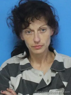 Mugshot of ASHLEY ANNETTE HALL booked in Sullivan County, Tennessee on May 11, 2026