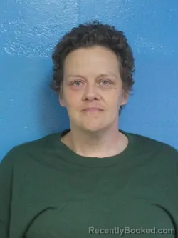 Mugshot of JAMIE JENELL HALE booked in Sullivan County, Tennessee on May 1, 2026