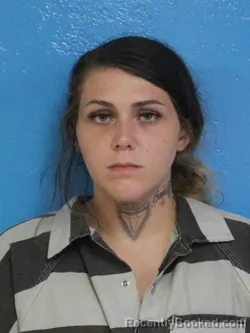 Mugshot of HANNAH MARIE ARNOLD booked in Sullivan County, Tennessee on June 23, 2026