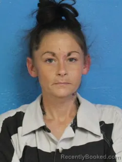 Mugshot of LINDSEY NICOLE WOOD booked in Sullivan County, Tennessee on June 23, 2026