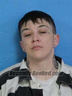 Booking photo from Sullivan County, Tennessee