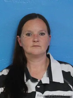 Mugshot of AMANDA ELAINE STILTNER booked in Sullivan County, Tennessee on July 4, 2026