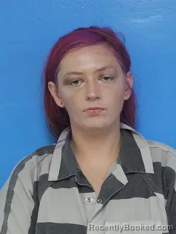 Mugshot of HANNAH ANN MANN booked in Sullivan County, Tennessee on July 30, 2026
