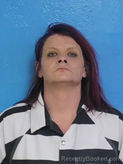Mugshot of JENNIFER MICHELLE THOMPSON