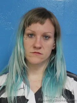 Mugshot of LAUREN RAYE LEWIS booked in Sullivan County, Tennessee on May 24, 2026